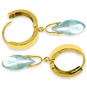 6 Carat 14K Solid Yellow Gold Jordana Blue Topaz Earrings