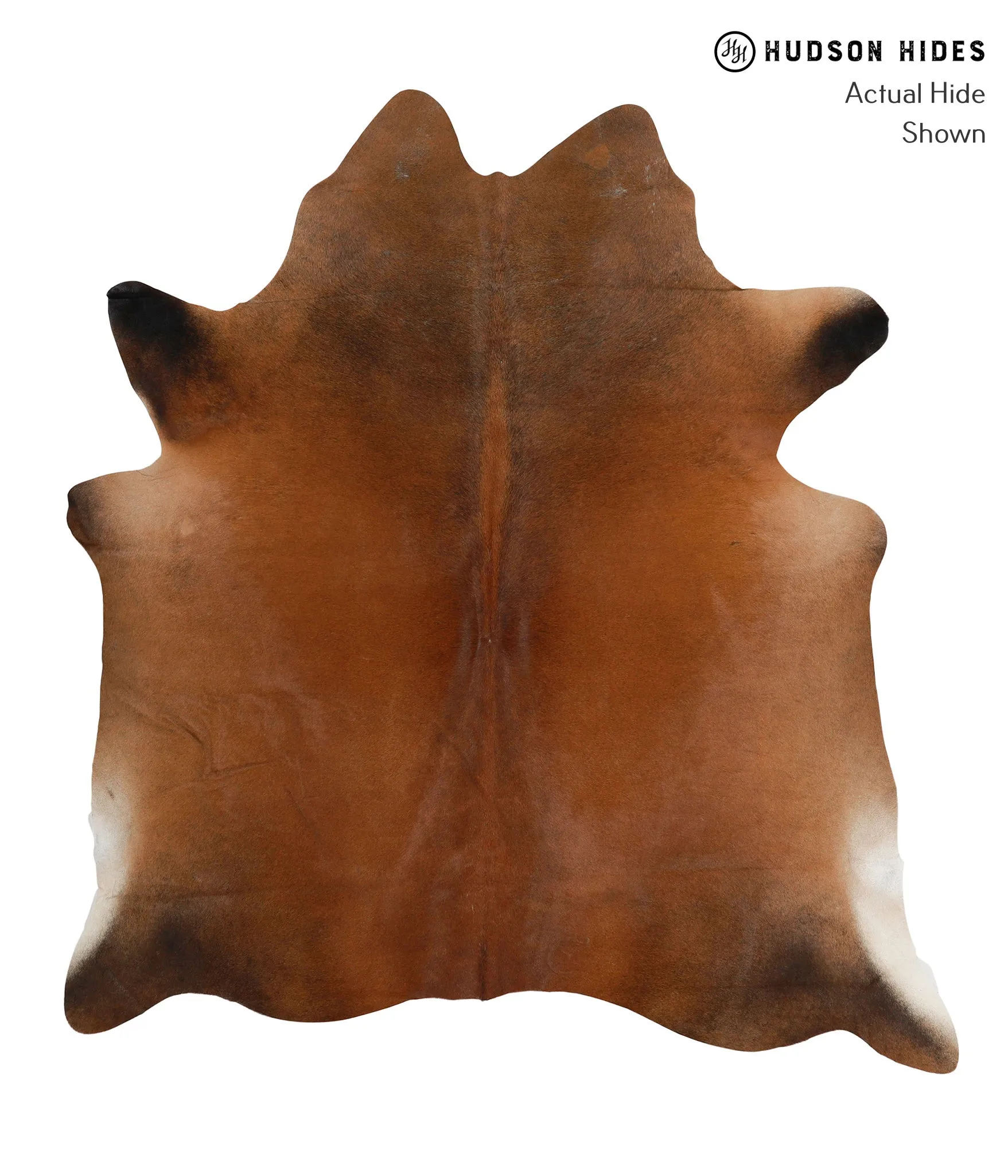 Warm Caramel Large Brazilian Cowhide Rug 6'7"H x 5'11"W #85392 by Hudson Hides