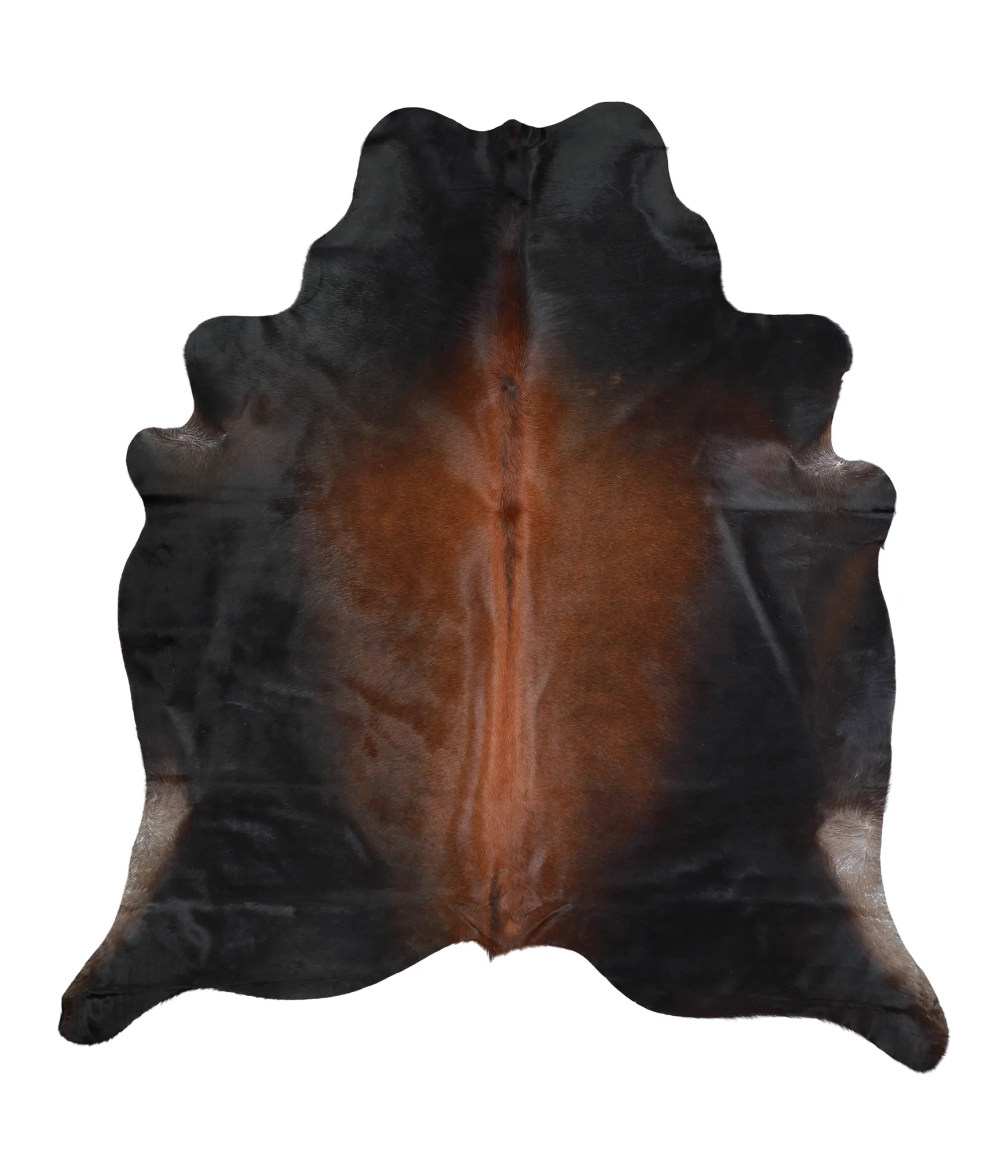 Warm Caramel X-Large Brazilian Cowhide Rug 7'5"H x 6'8"W #A21351 by Hudson Hides