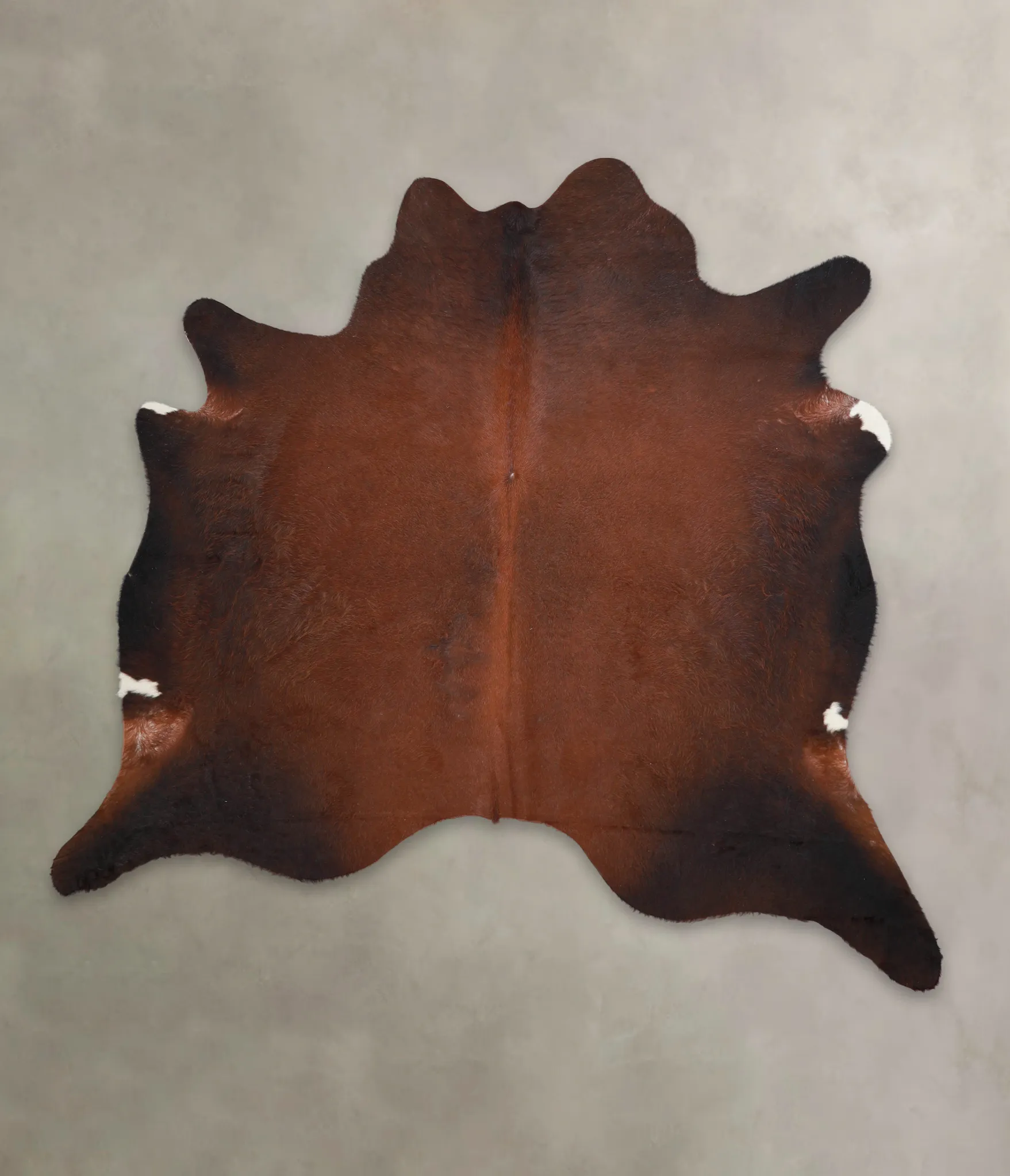 Warm Caramel XX-Large Brazilian Cowhide Rug 6'11"H x 7'4"W #A24738 by Hudson Hides