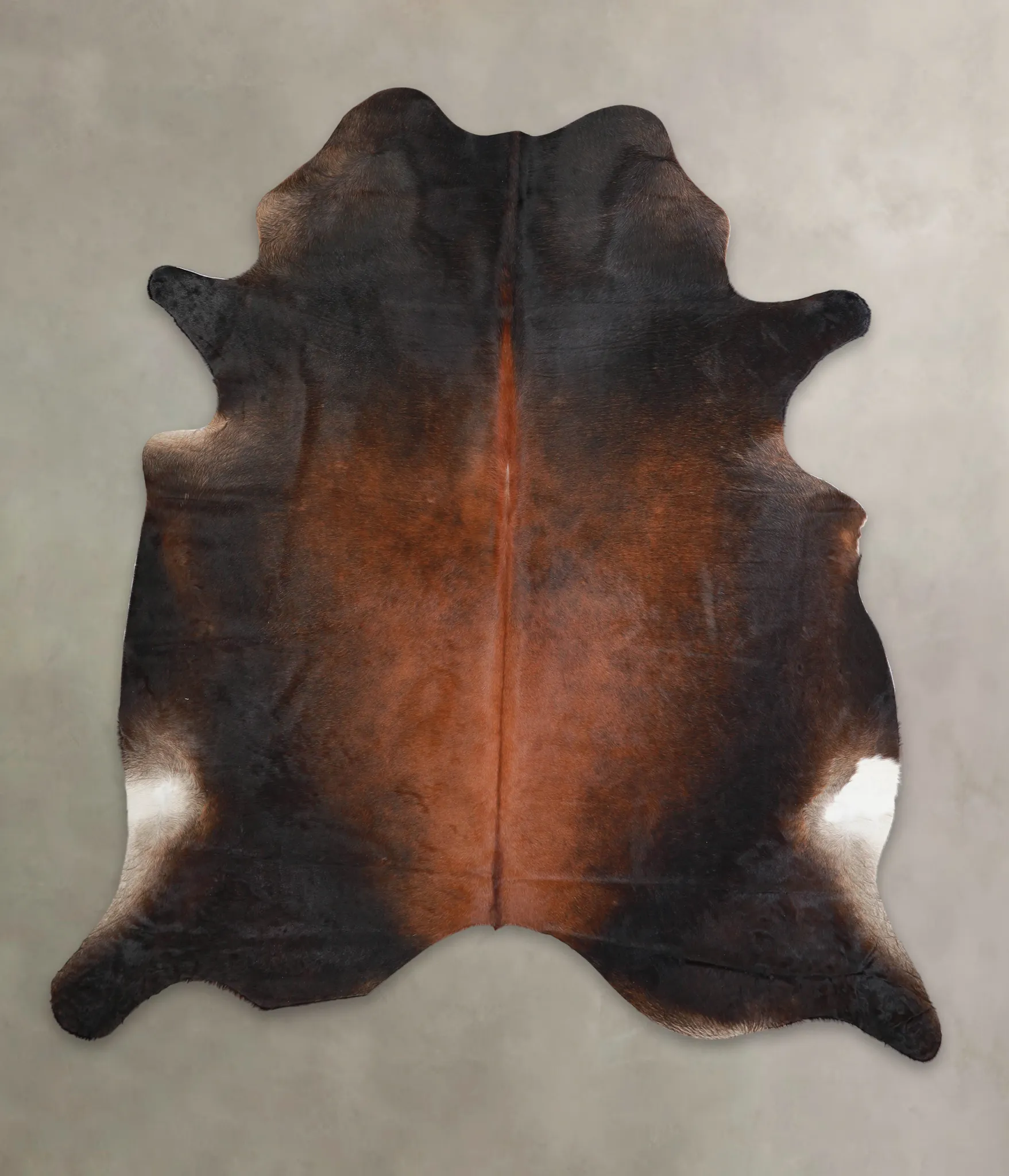 Warm Caramel XX-Large Brazilian Cowhide Rug 7'7"H x 6'10"W #A25179 by Hudson Hides